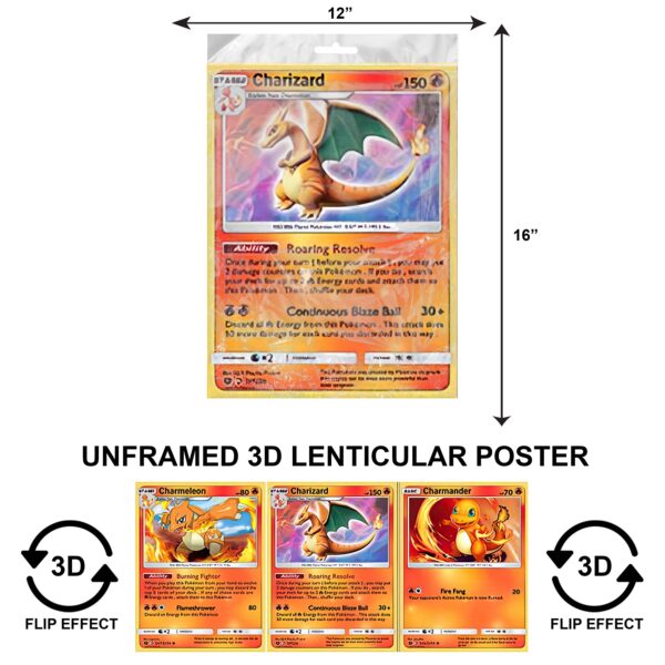 3DPNF-001 Anime - Charizard