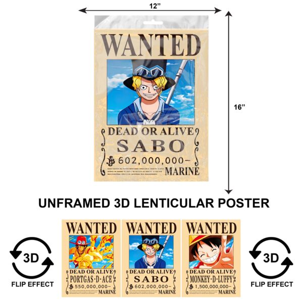 3DPNF-055 Anime - Wanted Monkey D. Luffy