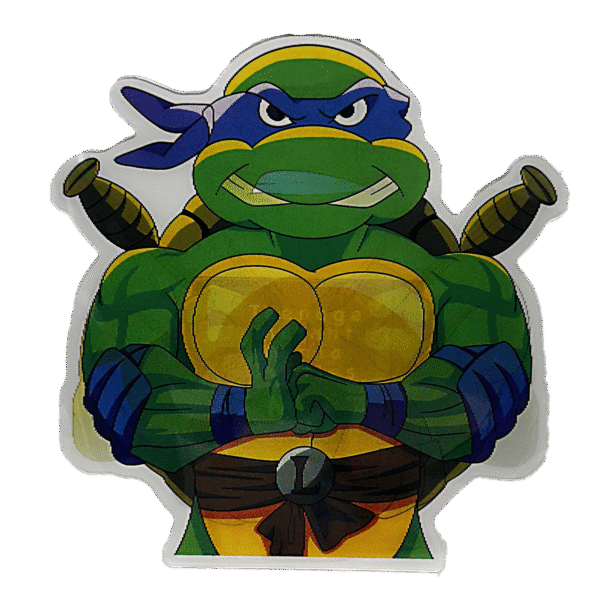 3D3DK061 Ninja Turtles Leonardo Sticker