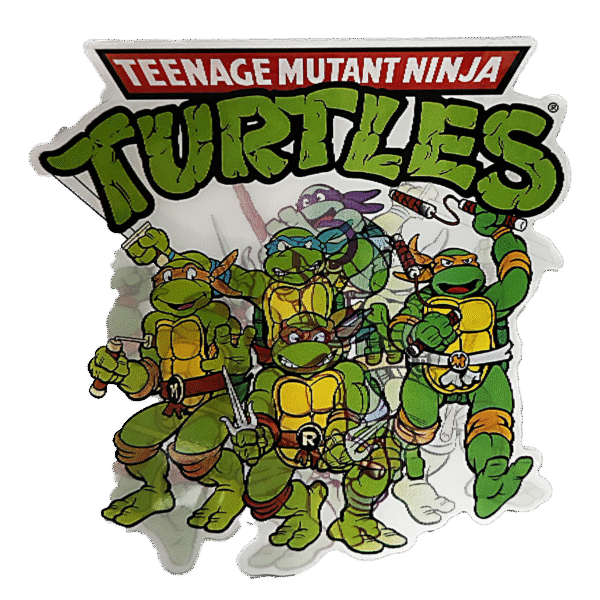 3D3DK069 Teenage Mutant Ninja Turtles Sticker