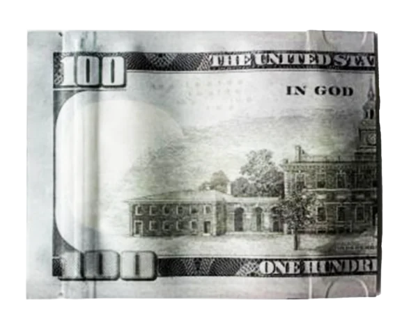 3.5 Gram Money Mylar Bag – Premium Smell-Proof Flower Packaging - Hundred Dollar Bill Back (50 Count) MMB-35G-004