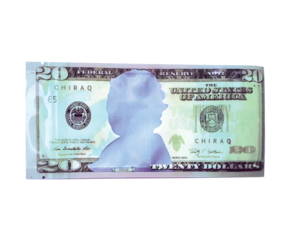 3.5 Gram Money Mylar Bag – Premium Smell-Proof Flower Packaging - Twenty Dollar Bill Who (50 Count) MMB-35G-008