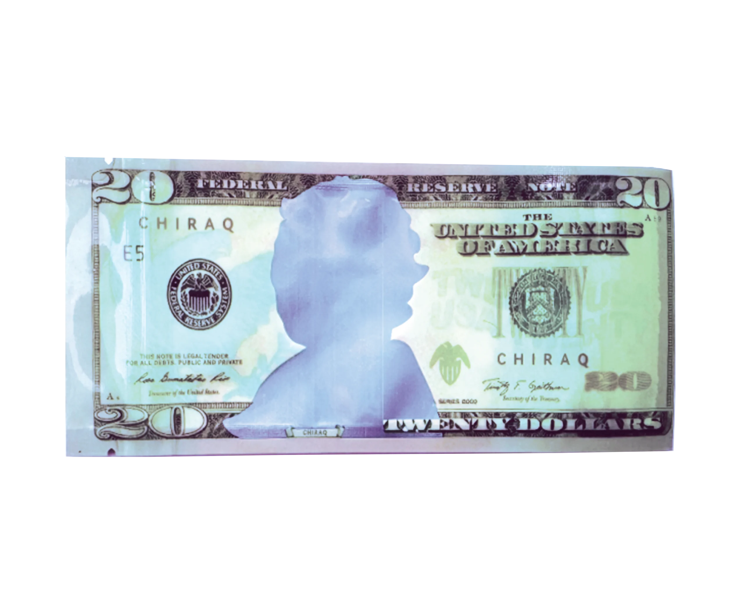 3.5 Gram Money Mylar Bag – Premium Smell-Proof Flower Packaging – Twenty Dollar Bill Who (50 Count) MMB-35G-008