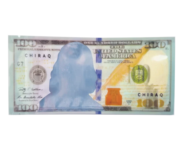 3.5 Gram Money Mylar Bag – Premium Smell-Proof Flower Packaging - Hundred Dollar Bill Who (50 Count) MMB-35G-010