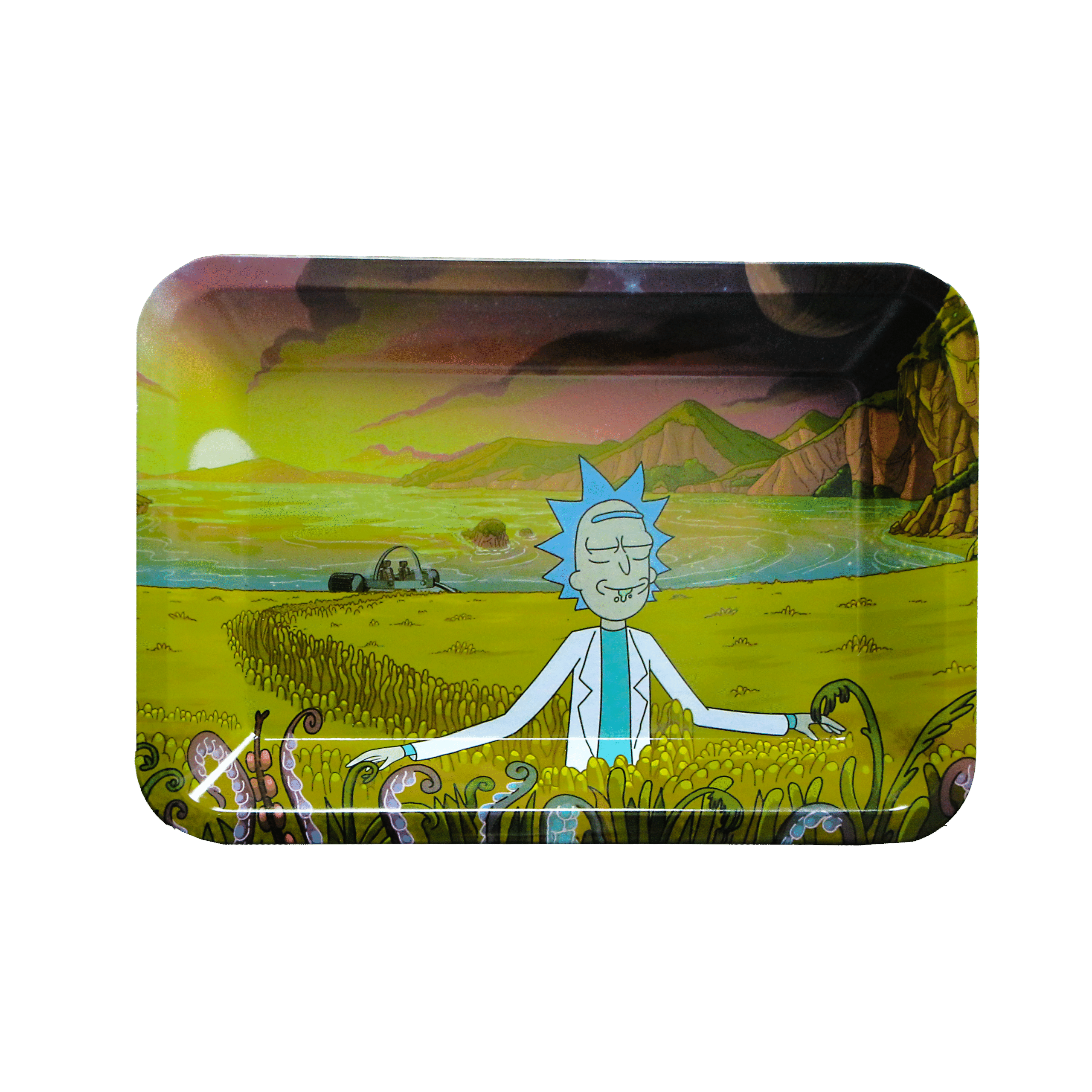 STNL-012 Small Tray No Lid – Rick and Morty Zen