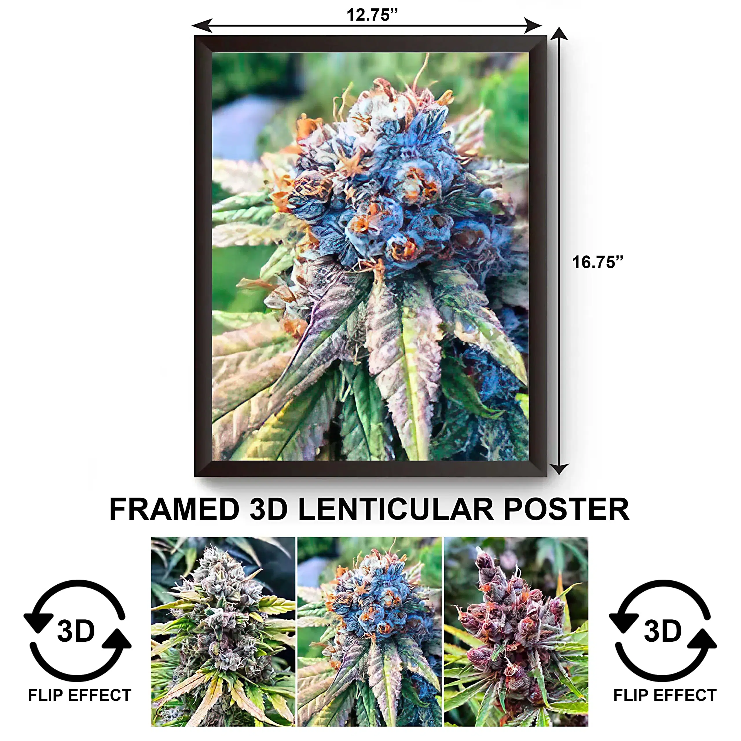 3DPWF-081 Stoned – Weed Flower Framed Poster
