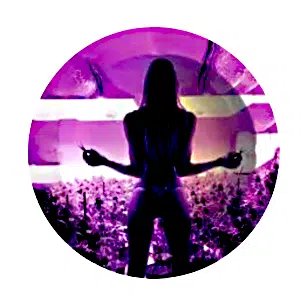 ASH016 Tin Ashtray 5.5″x5.5″ Bikini Girl in Purple Weed Field