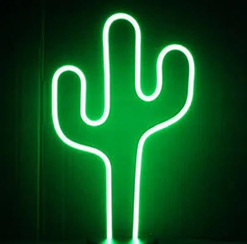 SNL-021 – Small Neon Hanging Light -Cactus