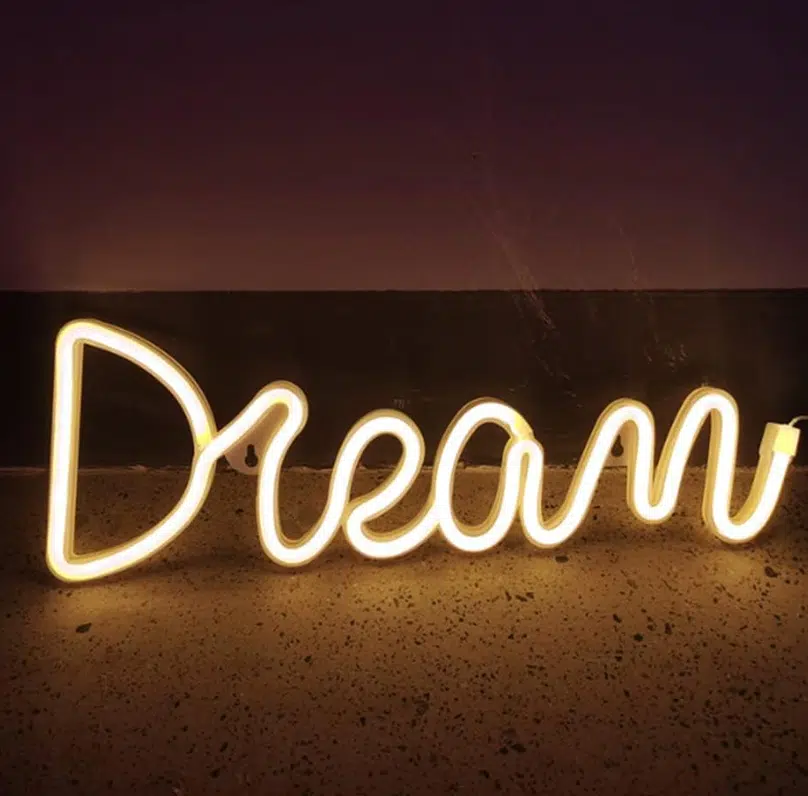 SNL-058 – Small Neon Hanging Light – Dream WC