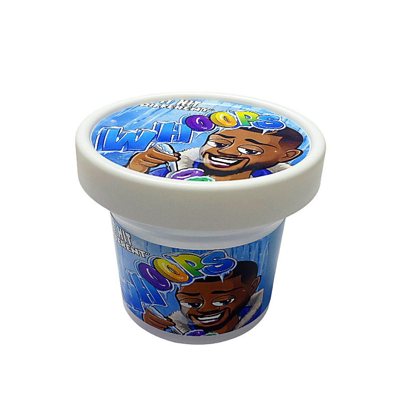 12 Pack – Ice Cream Pint Style Plastic Storage Containers with Lids – Whoops – ICJAR-015