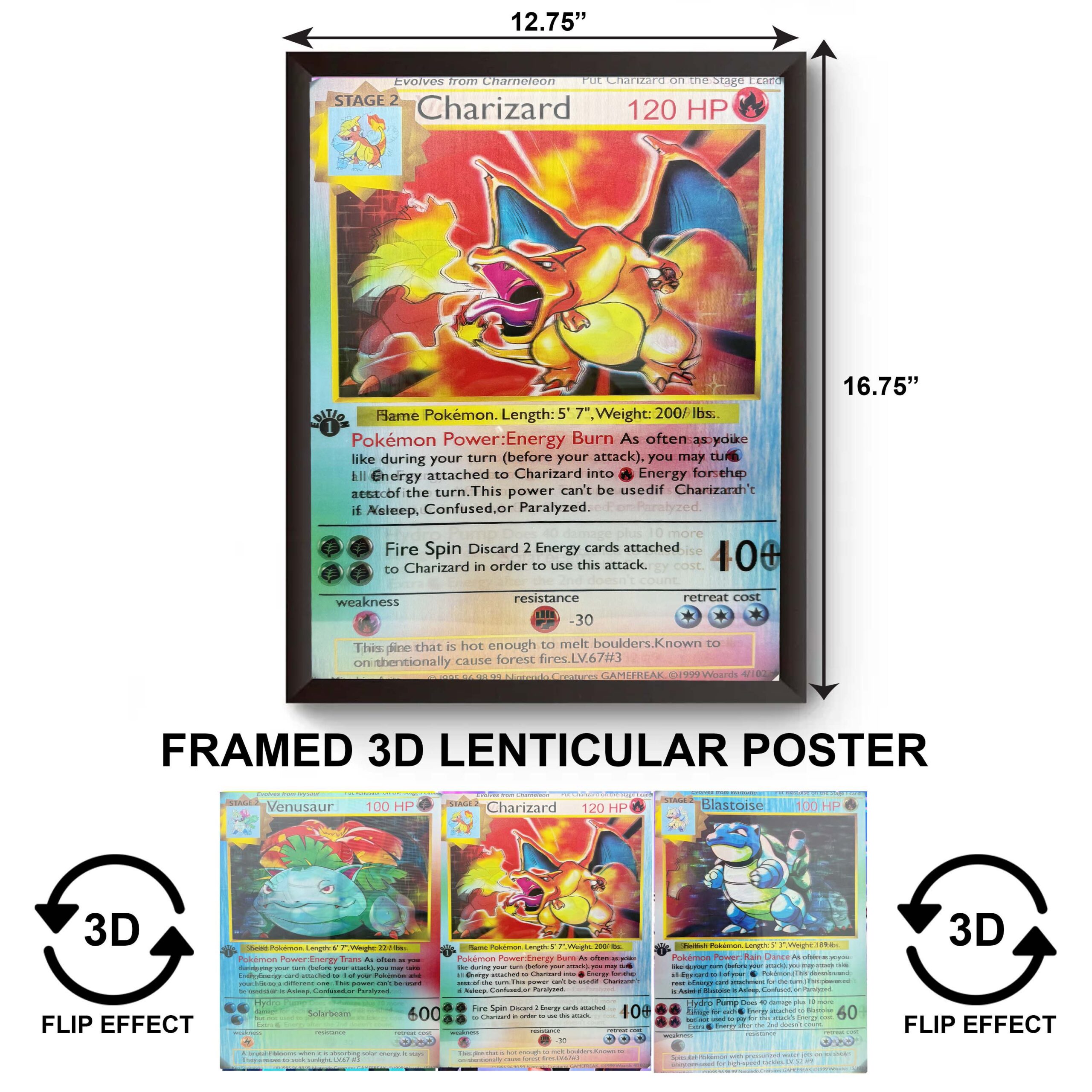 F3DP-061 Anime - Pokemon - Charizard 3D Framed Poster